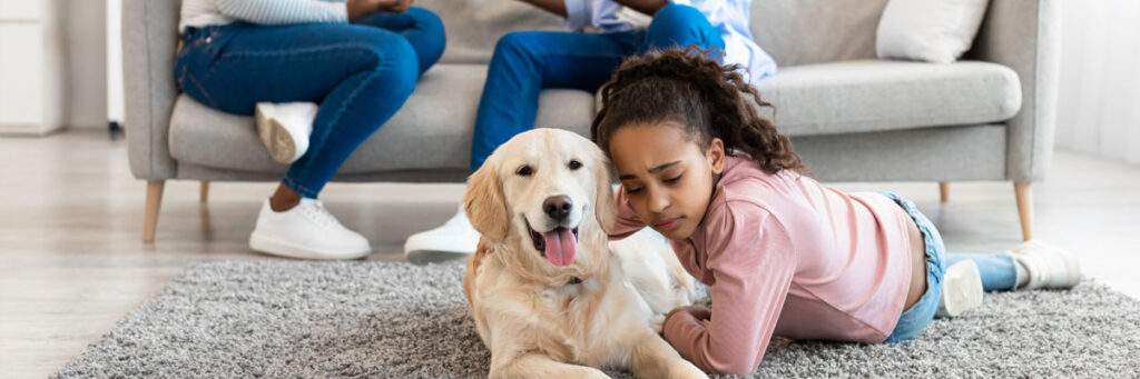 Com quem fica a guarda de animais de estimação após o divórcio